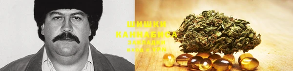 соль курить ск Алзамай