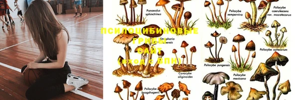 гидропоника Алексеевка