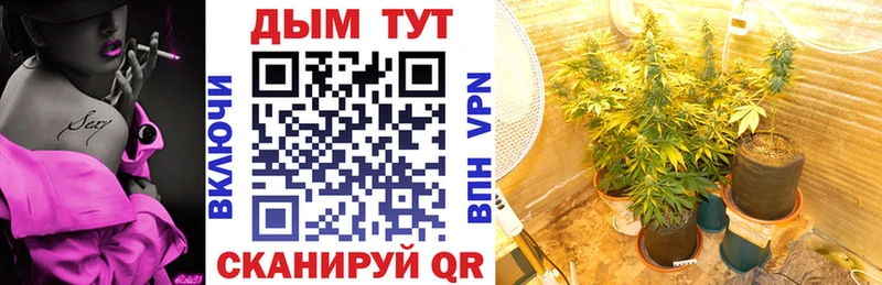 Каннабис Amnesia  Купить где  Крымск 
